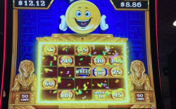 259 thumb cashman-bingo-thumb2