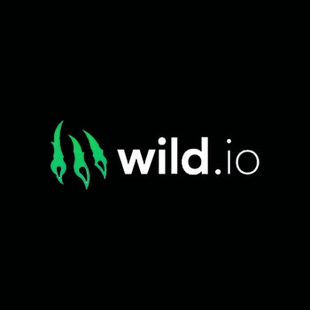 Wild io casino