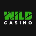 Wild casino logo
