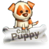 Cash Puppy