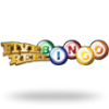 5 Reel Bingo