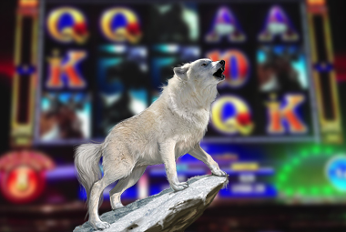 الفصل السابع عشر من النظام