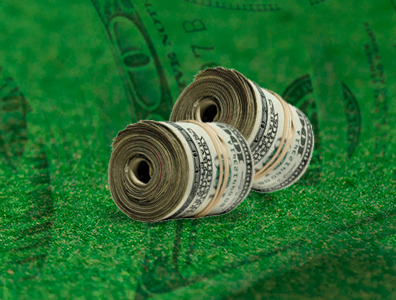 الفصل 8_17 من النظام