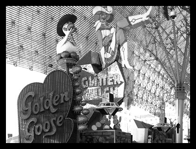 الفصل 9-5 من النظام