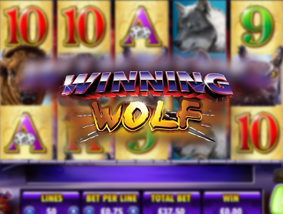 الفصل العاشر من النظام 5