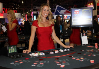 دي جي وايلد