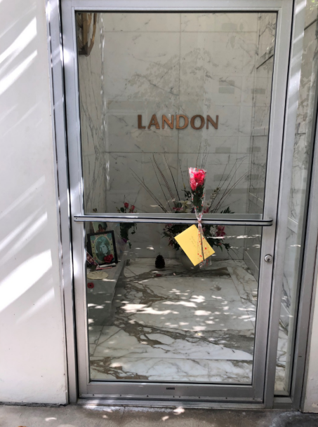 مايكل لاندون