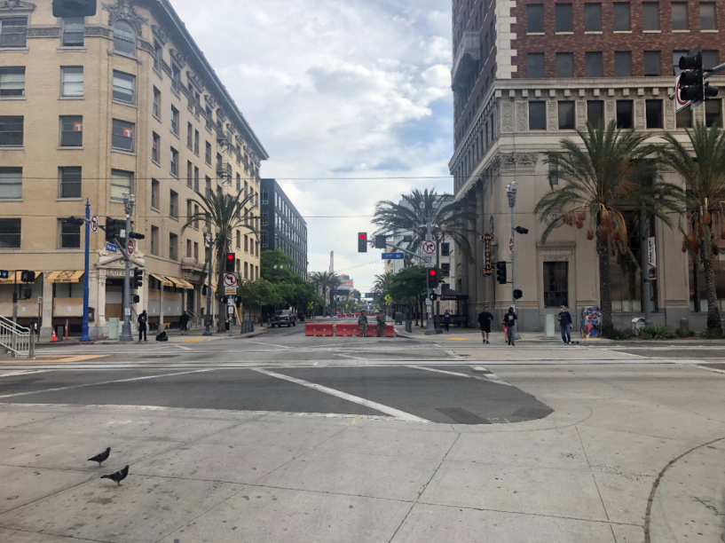 المحيط والصنوبر