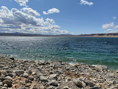 مارينا تمبل بار