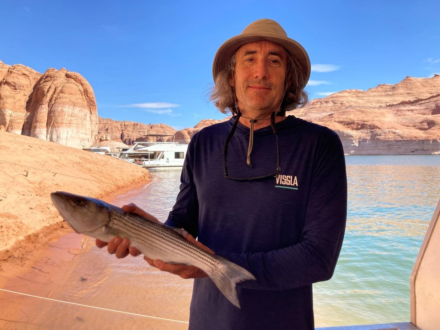 سمك القاروص المخطط