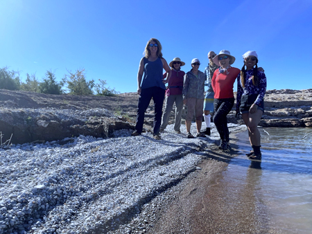 شاطئ وايت روك