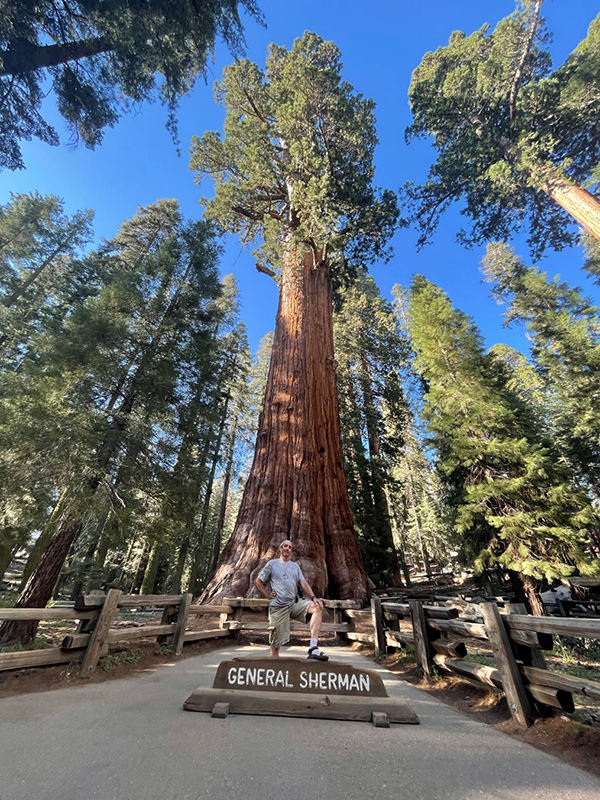 الجنرال شيرمان