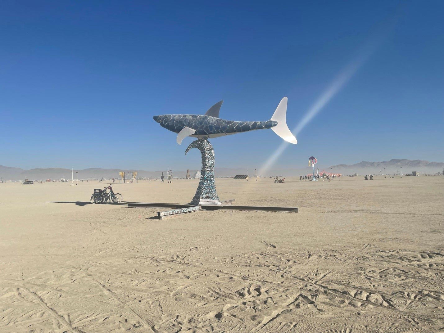 مخلوق سباحة موجود في كل مكان