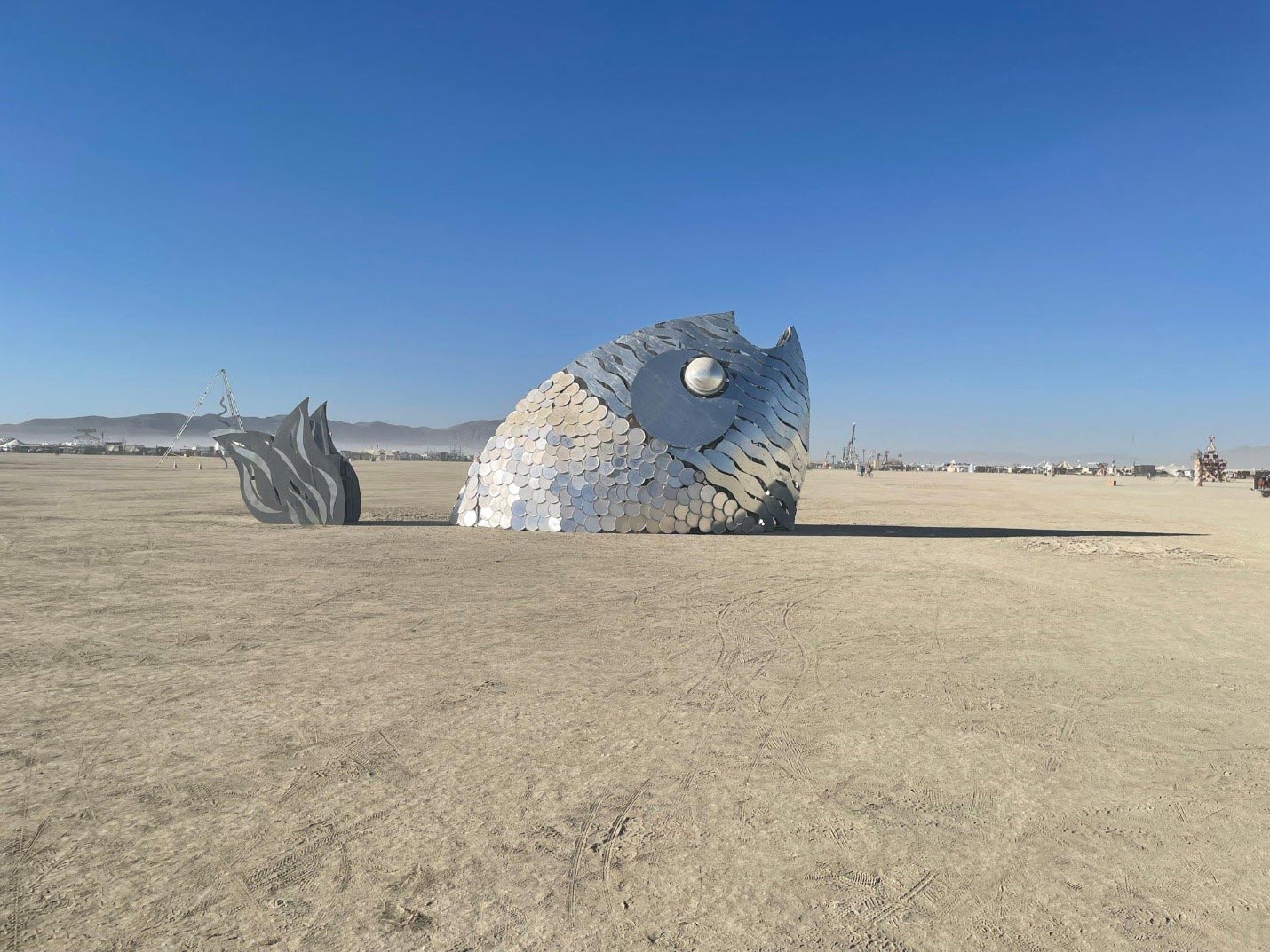 مخلوق سباحة آخر موجود في كل مكان