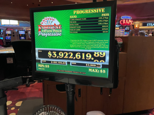 مواجهة باي غاو بوكر التقدمية