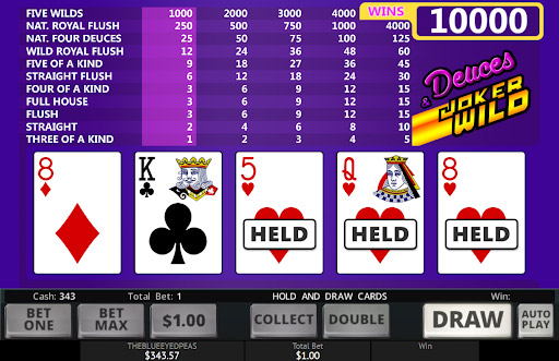 فيديو بوكر سلوتلاند