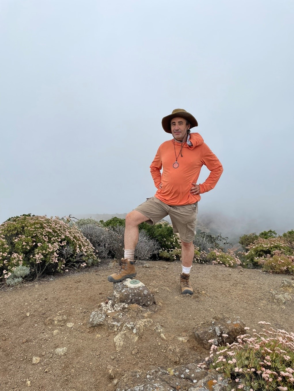 جزيرة سانتا كروز