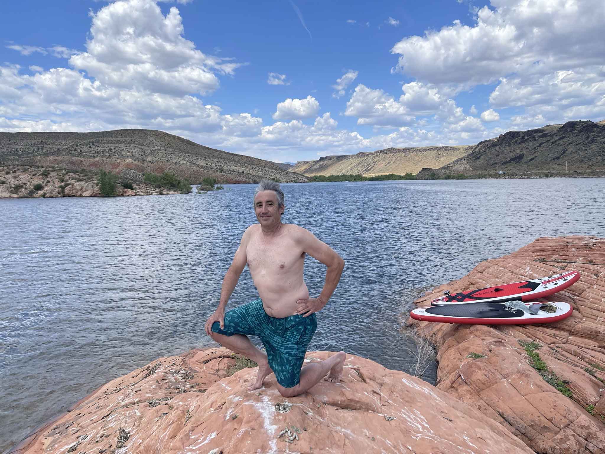 جزيرة فضلات البط