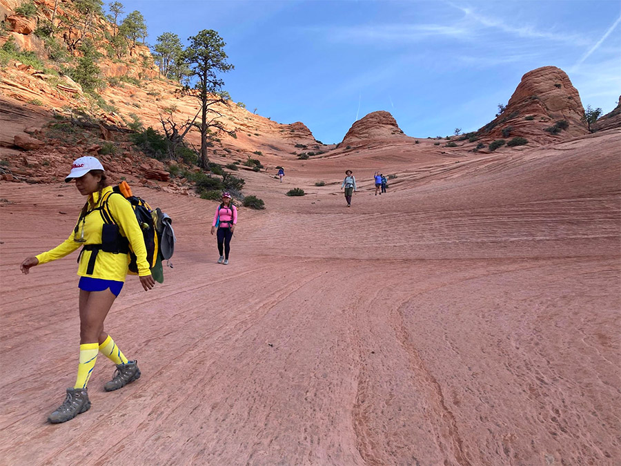 موجة أريزونا