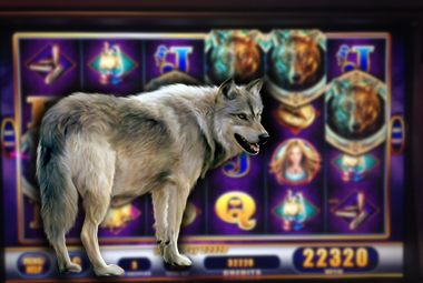 النظام النهائي 5