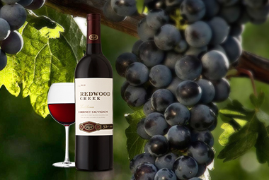 النظام النهائي 9